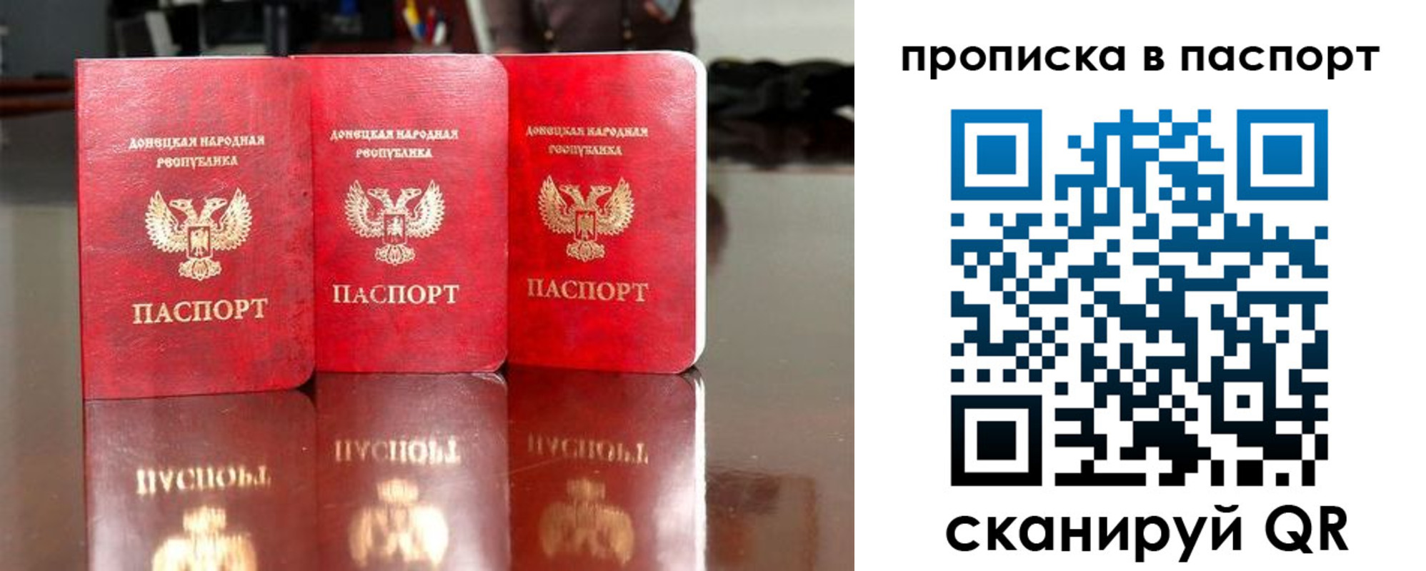 прописка поиск в Ельне