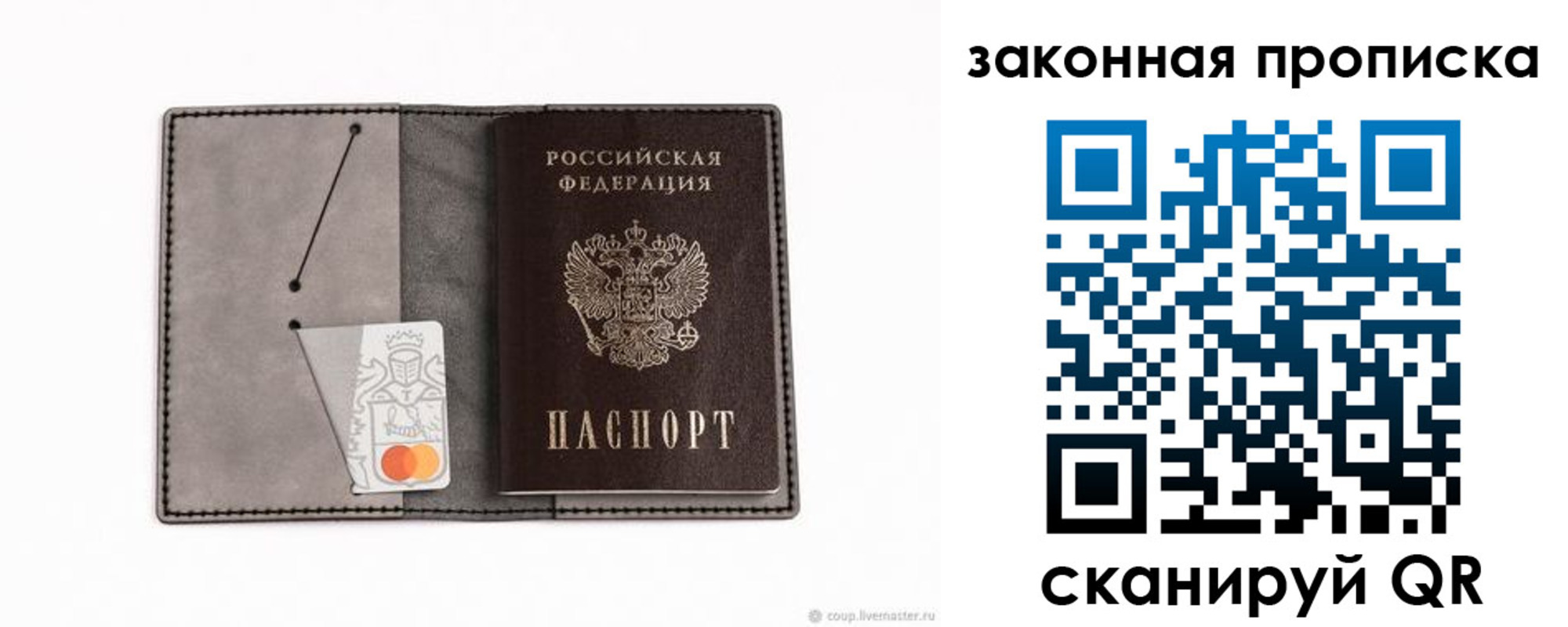 где прописаться в Ельне