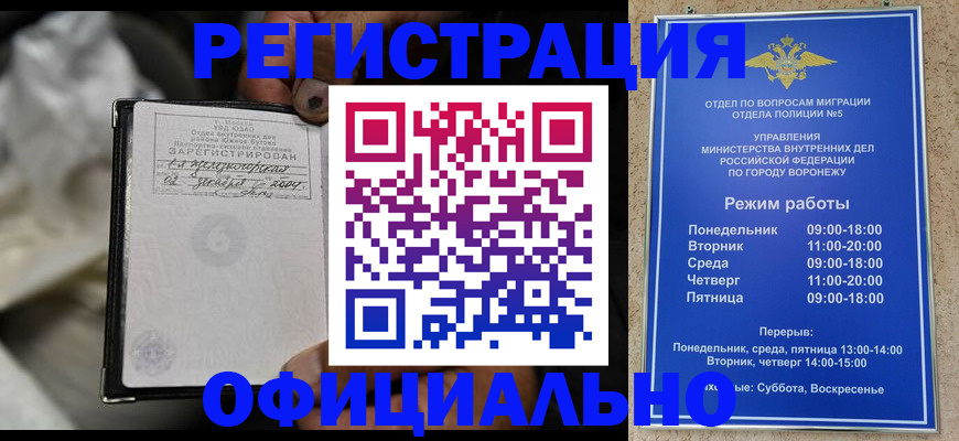 где прописаться в Ельне