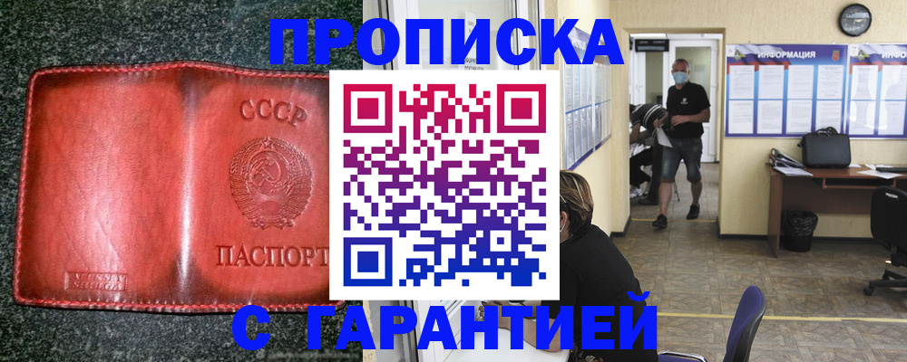 прописка гарантия в Ельне